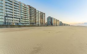10 hoog aan zee